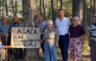 "AKP yeter artık elini Akbelen'den çek"