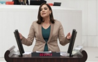 "Ayçiçek yağında kriz kapıda"