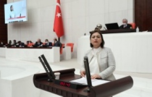 "Fay Yasası gündeme alınmıyor"