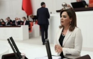 "Nereye bakarsanız bir çevre katliamına şahit oluyorsunuz!"