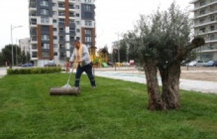 Bayraklı’nın yeşil oranı artıyor