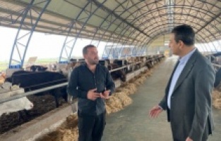 "Besici hayvanını beslese de kesse de zarar ediyor"