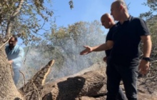 CHP'den orman yangınlarına karşı tedbir çağrısı