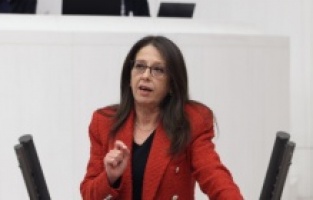 "Erzincan İliç'teki siyanürlü atık havuzu derhal kapatılmalıdır!"