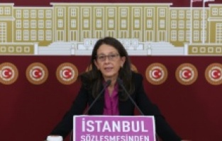 "Sığınma evlerine yerleşmek zorunda kalan kadınlar oy kullanamıyor"