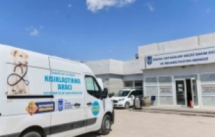 ABB'den sokak hayvanları için Türkiye'nin en kapsamlı kısırlaştırma operasyonu