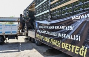 Başkentli çiftçiye şimdi de sebze fidesi desteği