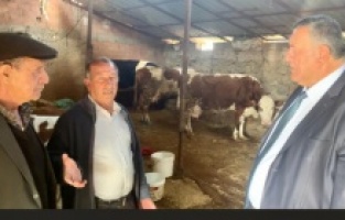 “Hayvancılık, yapılacak iş olmaktan çıktı”