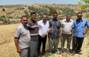 “Seneye hiçbir çiftçi ekemez"