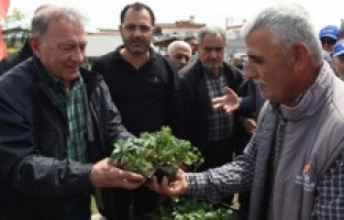Seyhan'dan çiftçilere 300 bin fide ve 25 bin fidan desteği