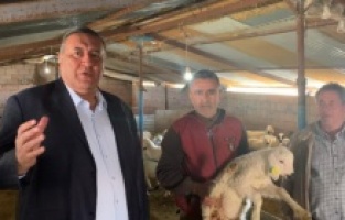 “Yetiştiriciler büyük bir çıkmazın içinde”