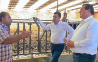 “Süt üretiminde yüzde 25’lik düşüş var"