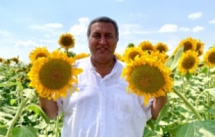 "Çöl sıcakları, sel, don, dolu  derken şimdi de tırtıl istilası"