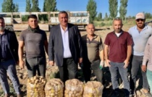 "Patateste de üretim düşüyor"