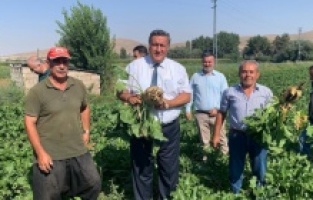 “20 yılda nüfusumuz 20 milyon arttı, çiftçi sayımız 700 bin azaldı”