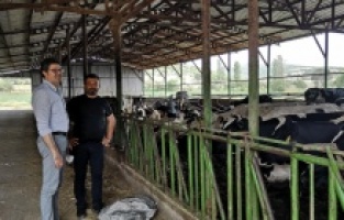 "Böyle giderse peyniri anca televizyonda görürüz"