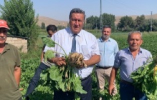 Gürer: “Şekerde karakış geliyor”