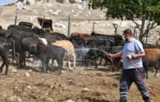 Konyaaltı’ndan bir ilk daha