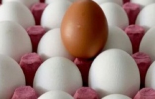 Yumurtaya zam üstüne zam!