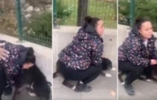 AKP'li belediyeden barınak önünde Baro yetkililerine "darp ve tehdit"