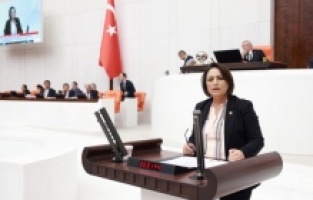 Köylülerin tapu sorunu Meclis'te