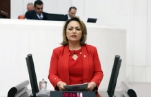 Binlerce balık ve arı ölümü Meclis gündeminde