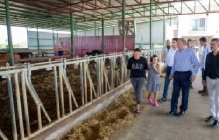 Seyhan Belediyesi'nden hayvancılığa nefes aldıracak destek