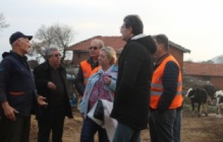 "Bir balya saman 120 lira!"