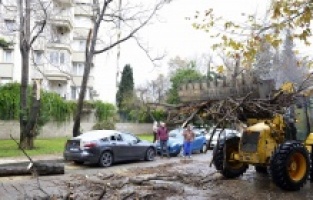 Muratpaşa ekipleri sahada