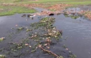 Şanlıurfa Cezaevi'nde kanalizasyon skandalı!
