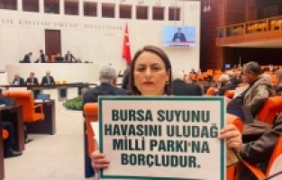 "Uludağ Alan Başkanlığı demek betonlaşma demek"