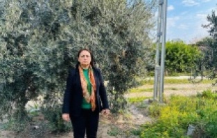 "Orman ve mera alanları imara açılıyor"