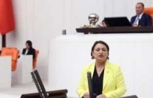 CHP'li Şevkin: “Depremzedeler unutuldu”