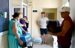 Kuşadası Belediyesi sokak hayvanlarının yanında