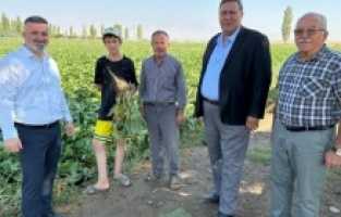 "Çiftçi şekerpancarı taban fiyatını bekliyor"