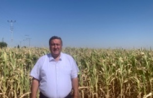 “Enflasyon mısır üreticisini etkilemedi mi?”