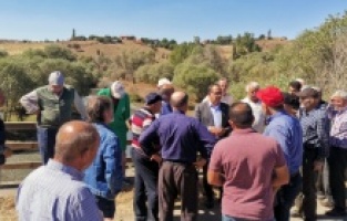 "Türkiye'nin su kaynağı Bolu'da çevre felaketi yaşanıyor"