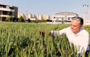 Muratpaşa Gıda Politika Rehberi geliyor