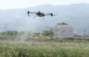Aydın Büyükşehir, 'drone' teknolojisi ile çiftçinin yanında