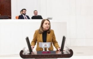 CHP'li Dinçer: "Vatandaşta çocuk sahibi olma hevesi kalmadı"