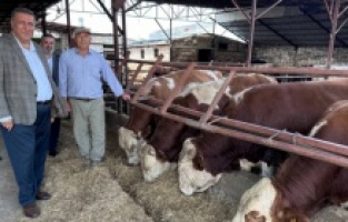 CHP'li Gürer: “Kurban için bakan var, ama alan sınırlı”