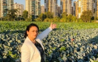 CHP'li Şevkin: "Çukurova afet bölgesi ilan edilsin"