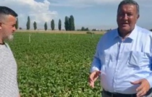 Gürer: “Üretemeyince ithalata sarıldık”