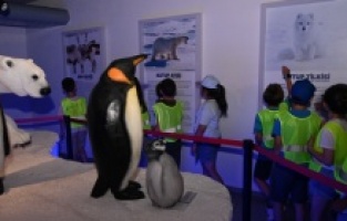 Tuzla Belediyesi, Türkiye’nin ilk Kutup Bilim Evi buluşmasına ev sahipliği yaptı