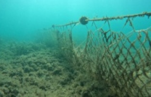 Balıkesir Büyükşehir, denizleri hayalet ağlardan arındırıyor