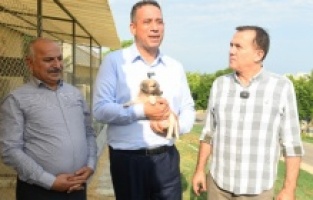 CHP'li Başarır ve Dinçer, Yenişehir Belediyesi'nin hayvan bakımevini gezdi
