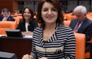 CHP'li Kış: "Halkı kandıran TÜİK suç işliyor"