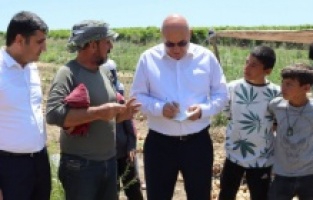 CHP'li Tanal'dan mevsimlik tarım işçileri için kanun teklifi