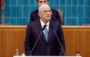 Dervişoğlu: "Sokak hayvanlarının peşine düşeceğinize sapık ve katillerin peşine düşün"