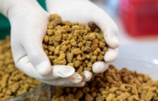 Mersin Büyükşehir Belediyesi, can dostlar için kompost mama üretimine başladı